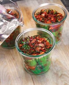 Cucumber Kimchi Recipe